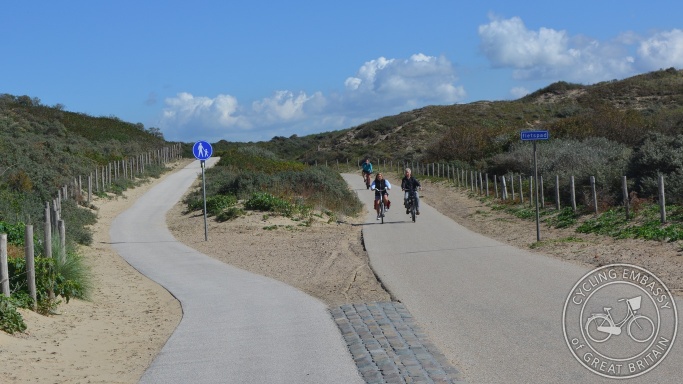 Cycle path with separate footway, Vogelwijk, NL