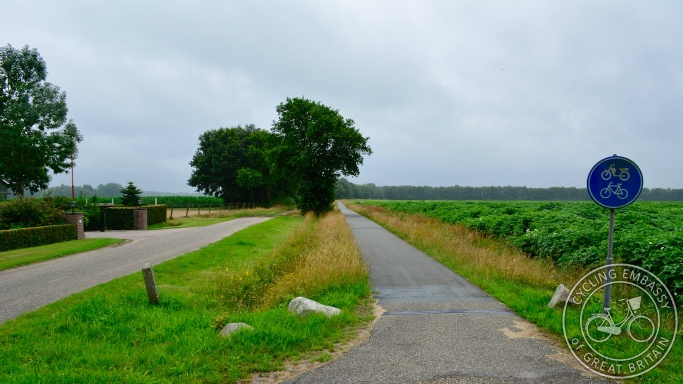 Filtered rural road, Assen, NL
