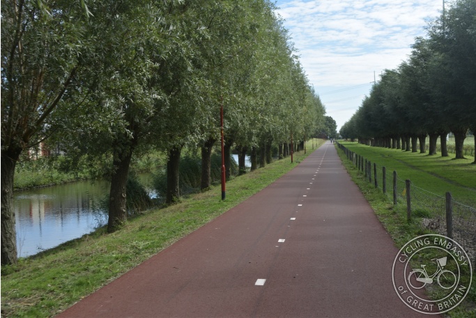 Resurfaced cycle path with street lighting and tree protection, Zoetermeer, NL