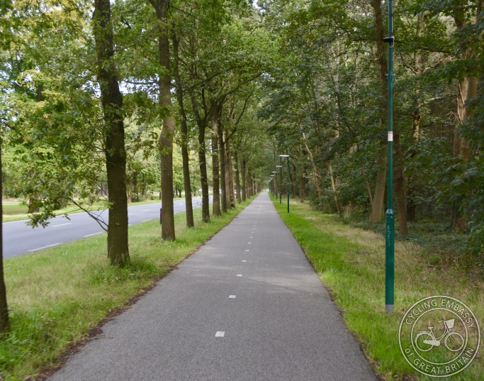 Cycle path with street lighting and vegetation, Zeist, NL