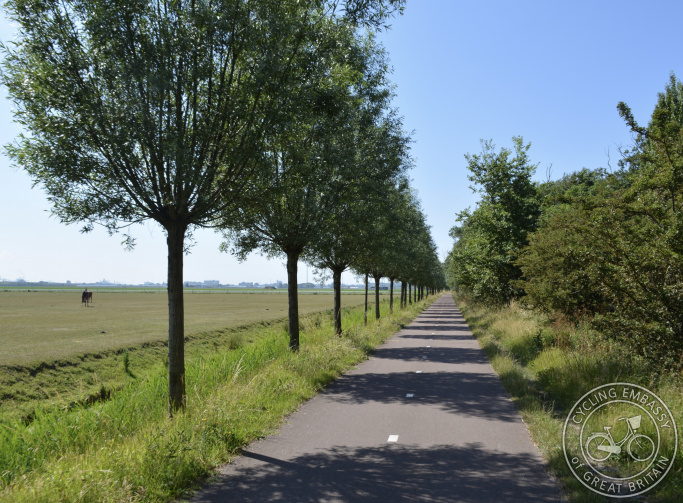 Cycle path with tree planting, Hoek van Holland