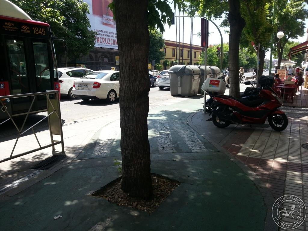 tree in bike lane
